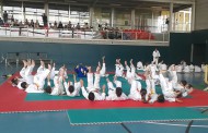 Uns 220 infants participen a la trobada de Joves Judokes de la Llagosta