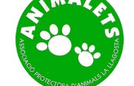 Animalets recollirà aquest dissabte fons per a les seves activitats