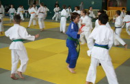El Club Judo-Karate guanya 20 medalles al català de judo aleví i benjamí