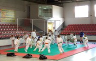 El Club Judo-karate celebra la novena edició de la Trobada escolar de Judo a Mollet