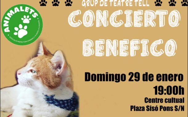 Animalets organitza un concert per recaptar fons per a la cura de gats del seu refugi