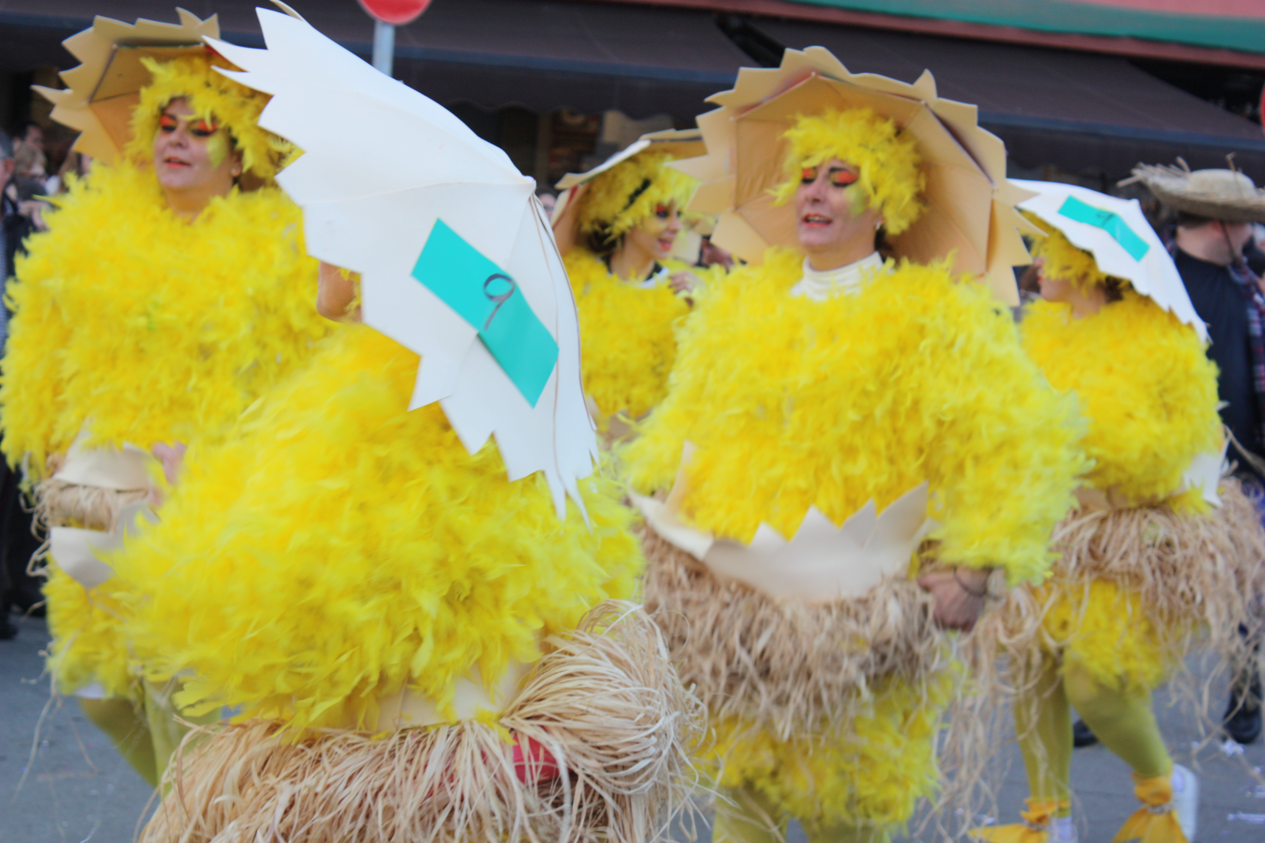 El Carnaval omple els carrers de la Llagosta