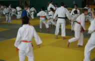 El CEM El Turó acollirà dissabte el Campionat de Catalunya de judo infantil i cadet