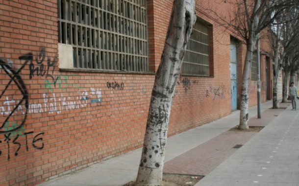 L'Ajuntament fa un estudi sobre l'estat dels arbres del tram final del carrer de l'Estació