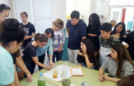 L'Institut Marina organitza una exposició de ciències en el marc del programa Erasmus Plus