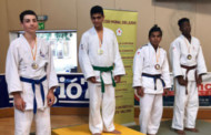 El Club Judo-Karate la Llagosta guanya sis medalles en el Torneig Internacional Ciutat de Manresa