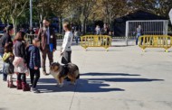 Prop de 40 gossos participen a la 16a Exposició canina de la nostra localitat