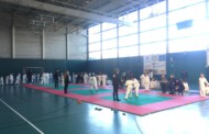 Més de 200 infants participen al Trofeu de Nadal de judo de la Llagosta