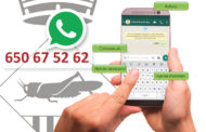 Més de 300 persones s'han donat d'alta al servei d'informació per WhatsApp