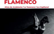 El Centre Cultural acollirà dissabte el festival d'Aires de Andalucía