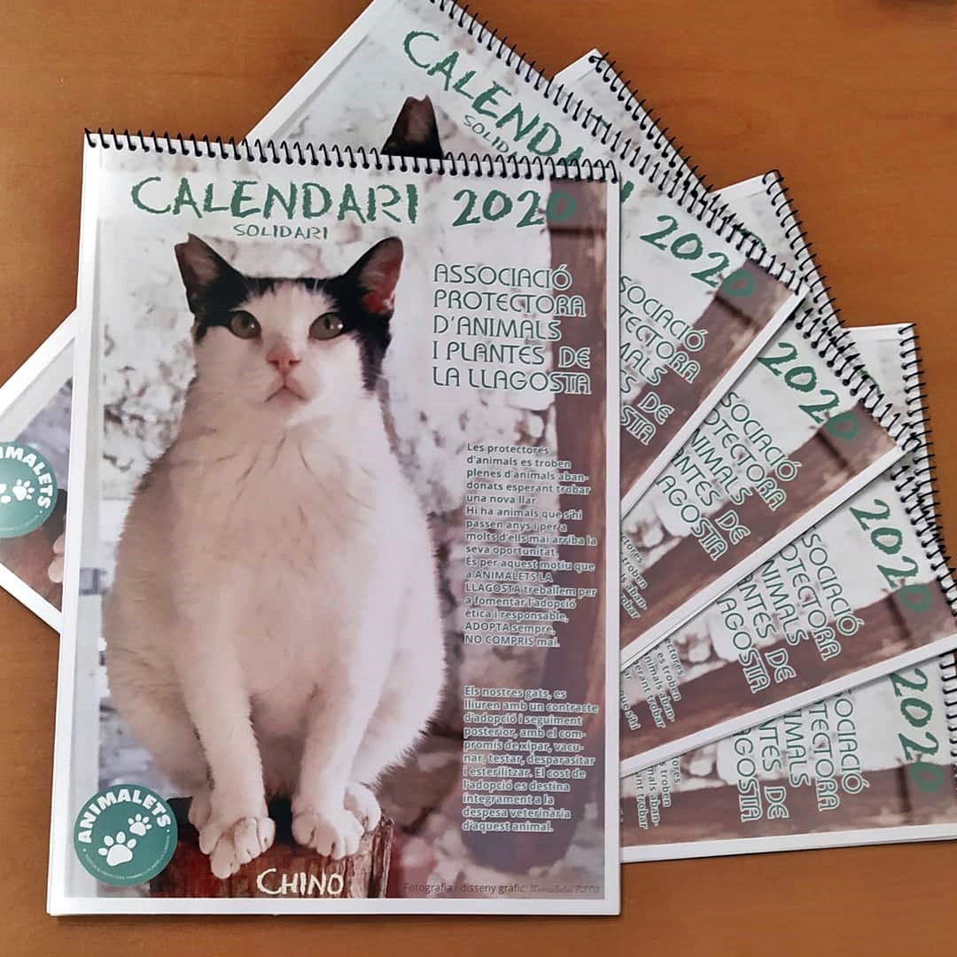 Animalets posa a la venda el seu calendari solidari