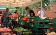 [Vídeo] Reobre el mercat setmanal amb control d'accés i un aforament màxim de 80 persones