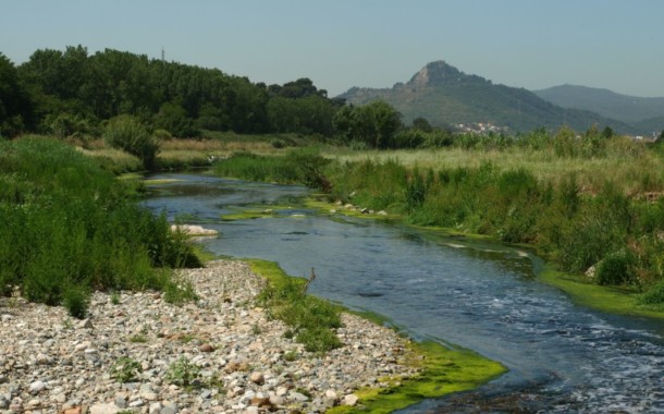 El Consorci del Besòs desmenteix que el riu estigui contaminat